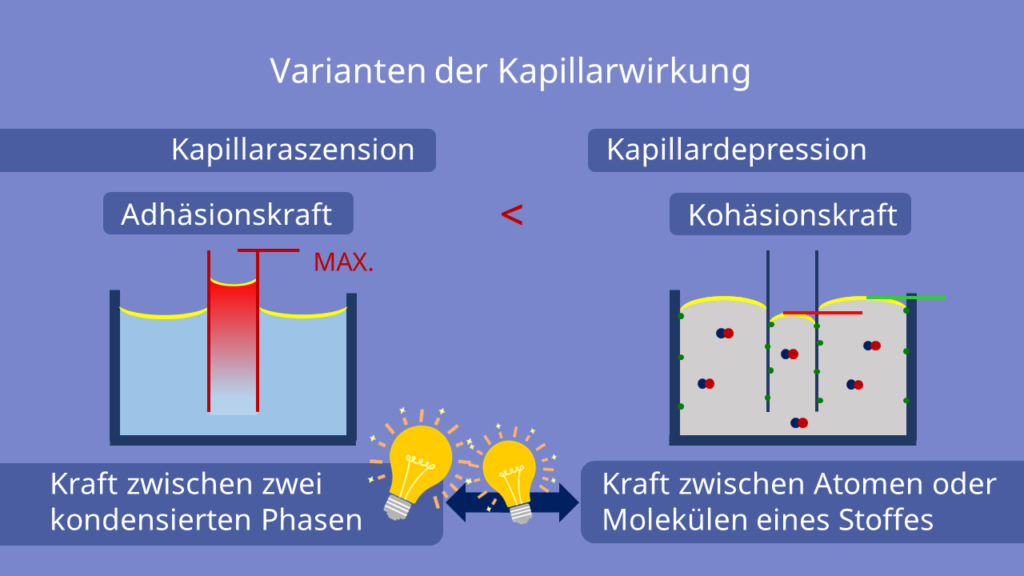 Varianten der Kapillarwirkung, Kapillaraszension, Kapillardepression, Adhäsionskraft, Kohäsionskraft