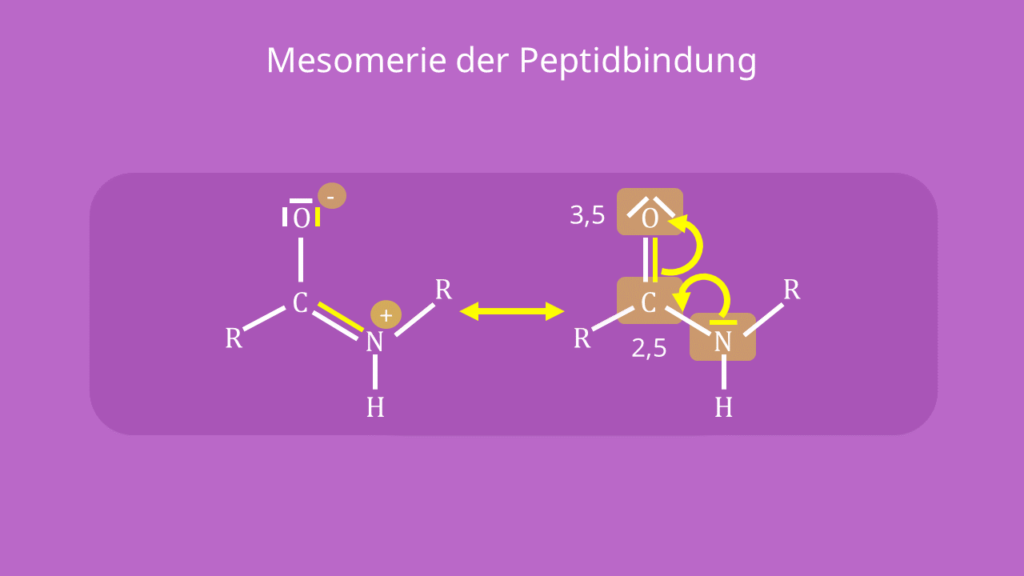 Peptidbindung - Mesomerie, Struktur, Formel, Strukturformel