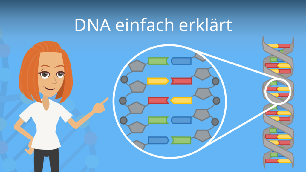 Zum Video: DNA einfach erklärt