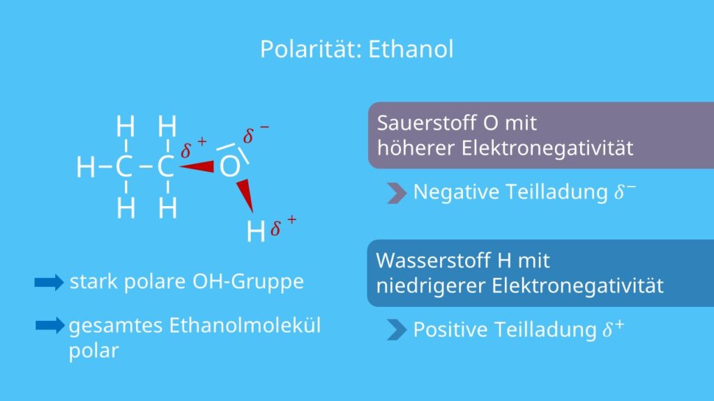 Polarität Ethanol, Polarität, polar