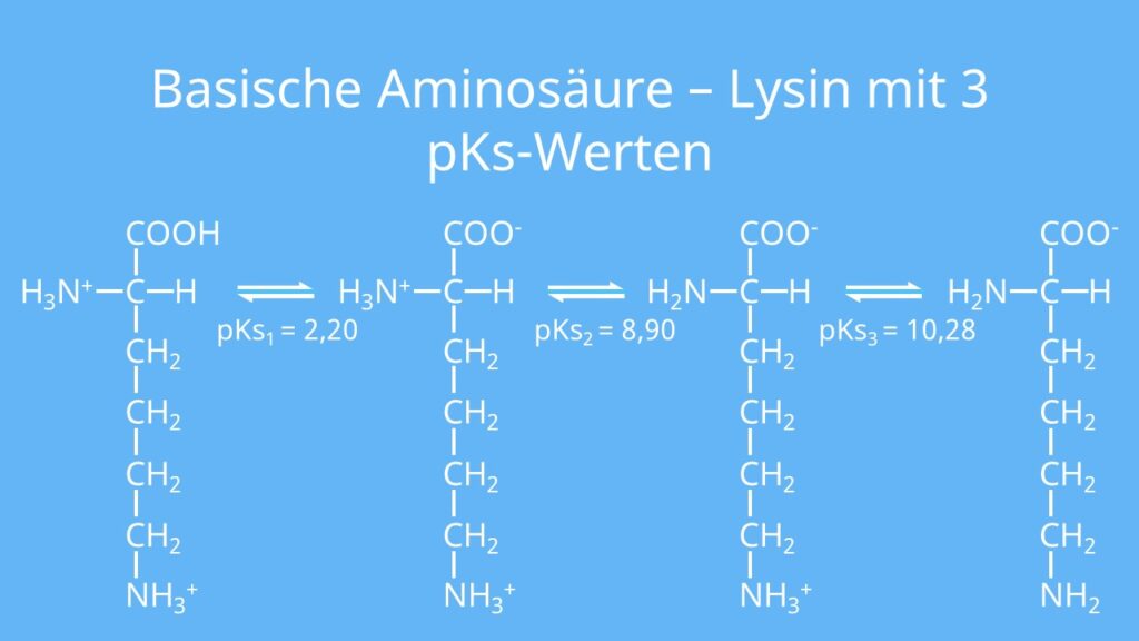 Basische Aminosäure, Lysin, 3 pKs-Werte, pKs, basische Zwitterionen, basische Gruppe, sauer, basisch