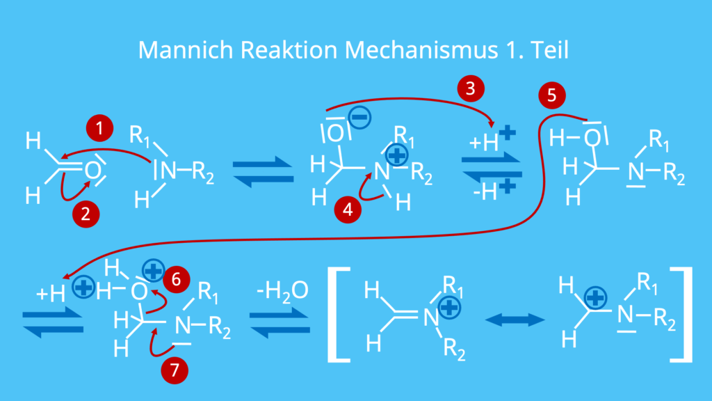 Mannich Reaktion, Mechanismus, Reaktion, Mannich Reaktion