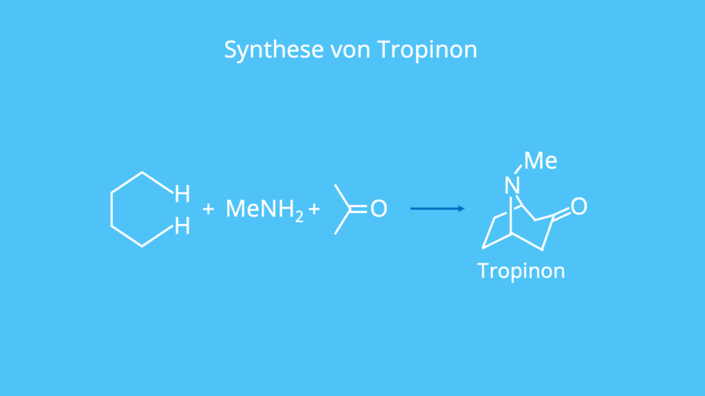 Tropinon, Synthese, Naturstoffe, Mannich Reaktion, pharmazeutischen Chemie