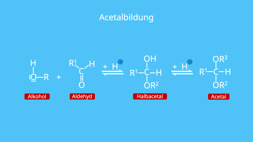 Acetalbildung, Alkohol, Alkohole, Aldehyd, Halbacetal, Acetal
