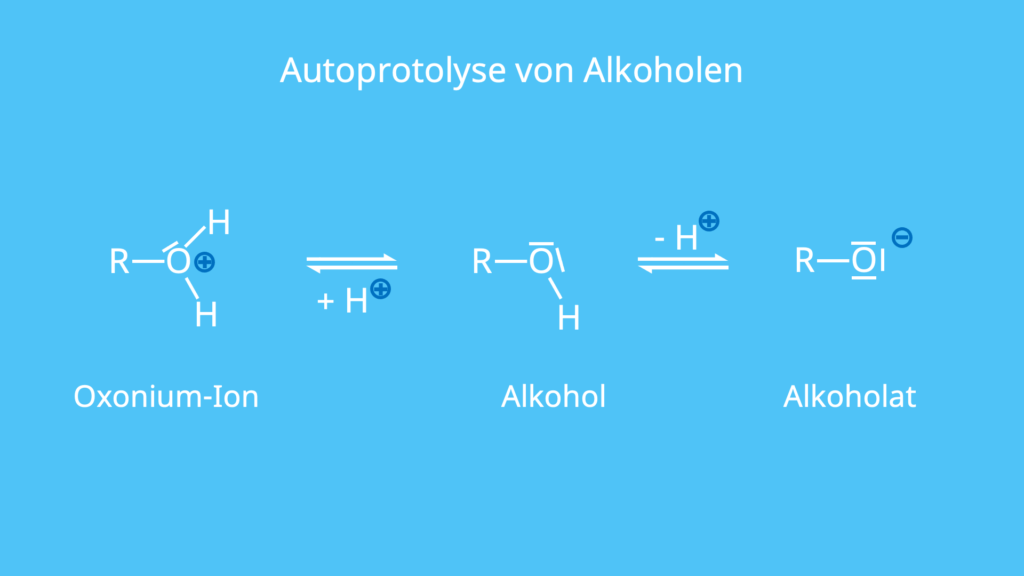 Autoprotolyse, Alkohol, Eigendissoziation, Protolyse, Alkoholat, Alkohole, Alkohol