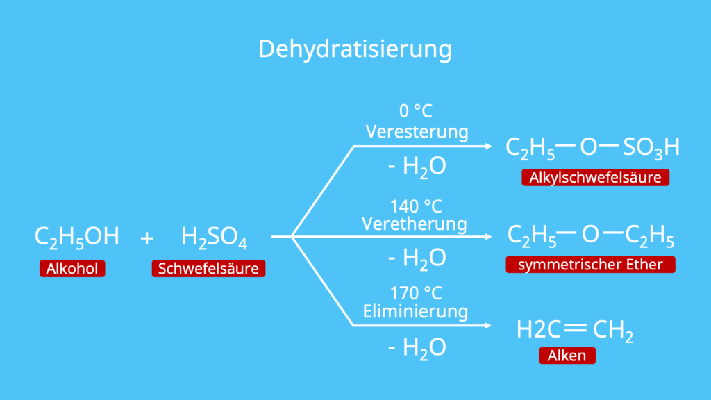 Dehydratisierung, Alkohole, Alkohol