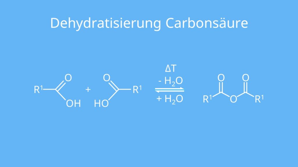 Dehydratisierung, Carbonsäure, intermolekularer Wasserabspaltung, Abspaltung, Carbonsäureanhybrid