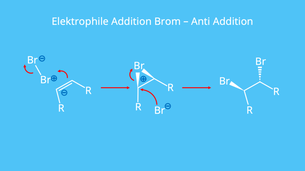 Brom, Elektrophile Addition, Doppelbindung, Elektrophiler Angriff, Bromonium-Ion, anti Addition, Bromaddition
