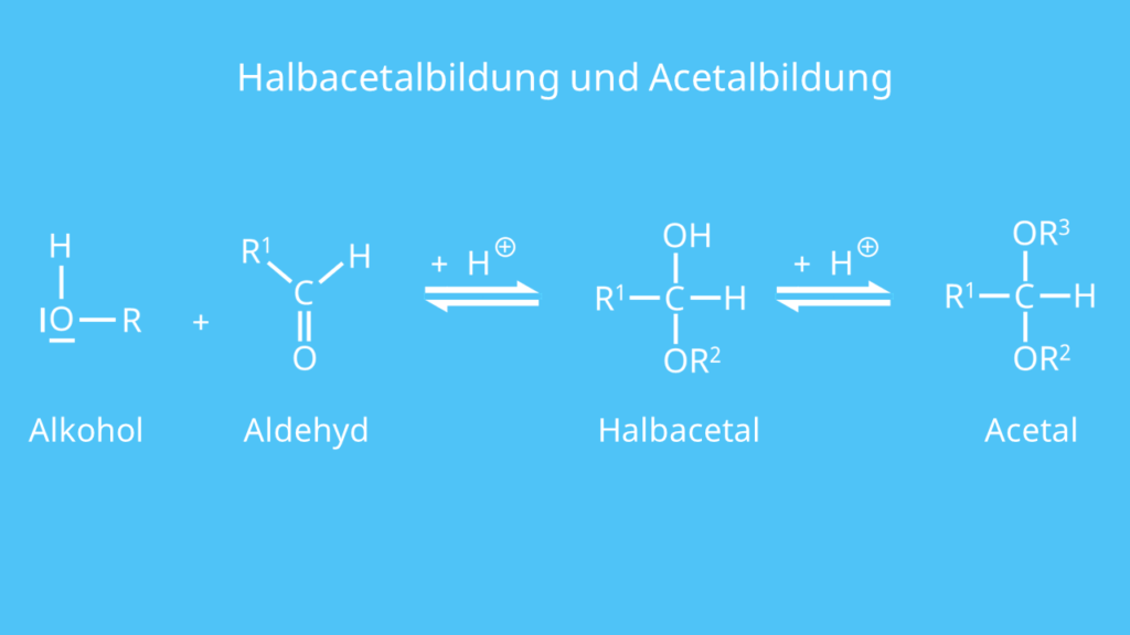 Aldehyd, Acetal, Acetalbildung, Halbacetal, Halbacetalbildung, Alkoho