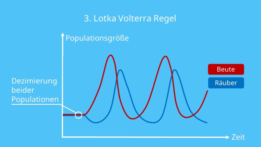 Lotka Volterra Regeln, Darstellung, Beute, Räuber, Räuber Beute Beziehung, Schwankungen, Entwicklung der Population