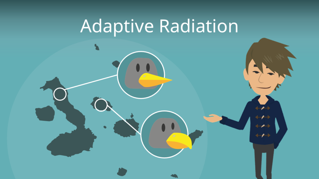 Zum Video: Adaptive Radiation