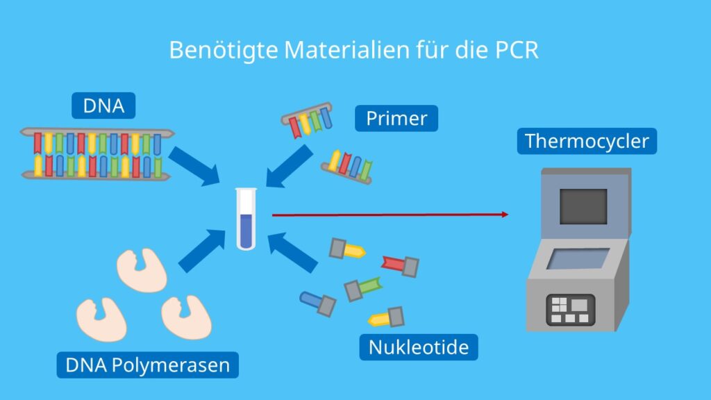 DNA, PCR, Polymerase Kettenreaktion, Primer, Nukleotide, DNA Polymerase, Thermocycler