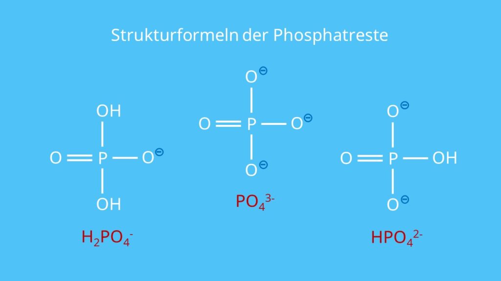 Strukturformeln der Phosphatreste, RNA, DNA, Phosphorsäurerest, Phosphatgruppe, Nukleotid