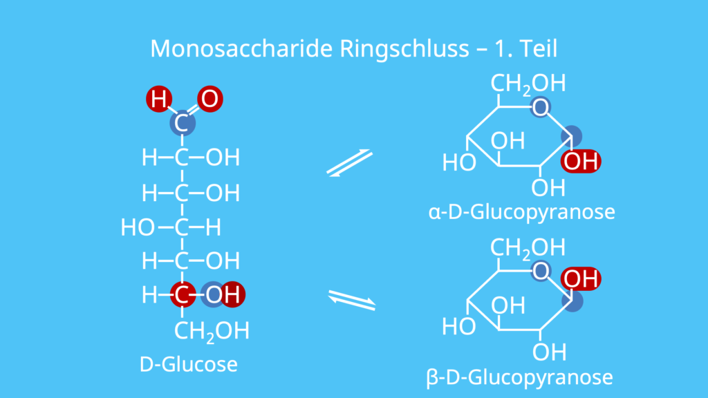 Monosaccharid Ringschluss, Monosaccharide, Struktur, Aufbau, Furanose, Pyranose