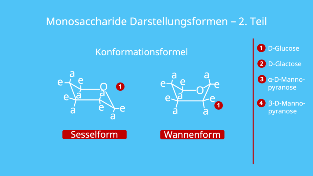 Monosaccharide Darstellung, Darstellungsformen, Fischer Projektion, Haworth Darstellung, Konformationsformel