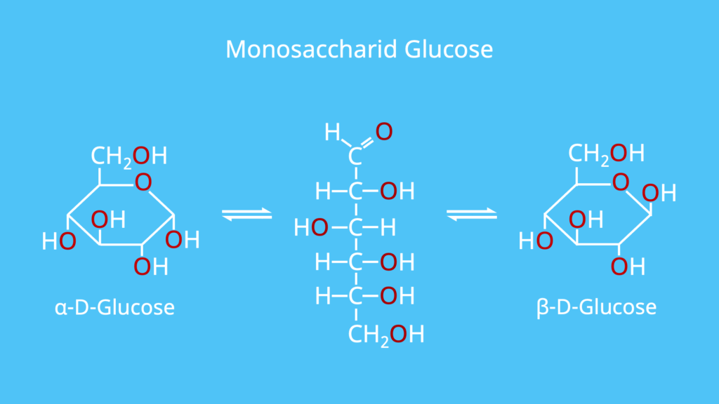 Monosaccharid, Monosaccharide, Glucose, Beispiel, Beispiele