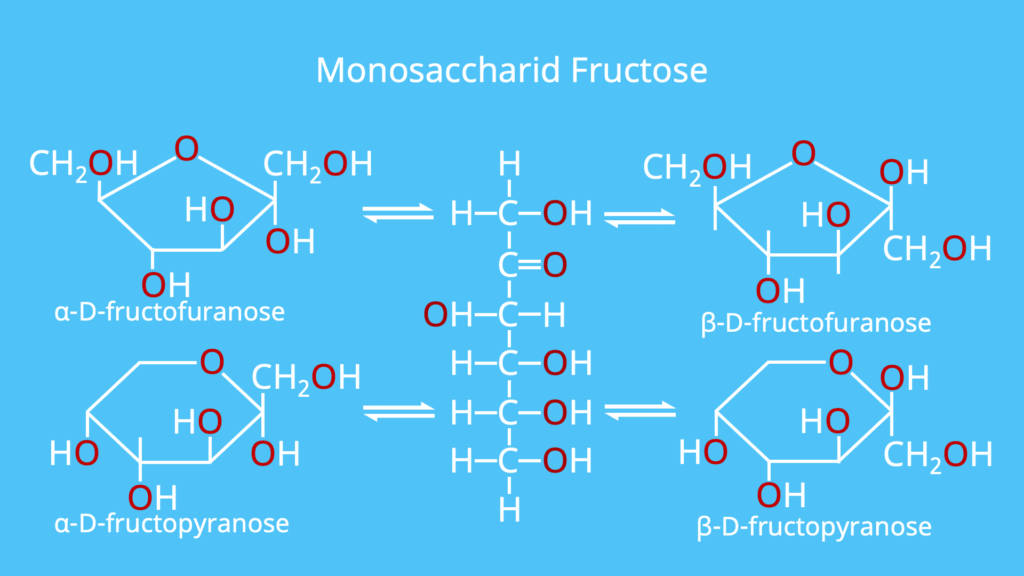 Monosaccharid, Monosaccharide, Fructose, Beispiel, Beispiele