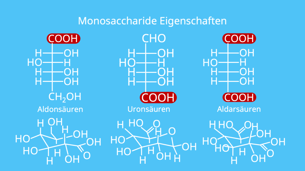 Monosaccharide, Oxidation, Aldonsäure, Uronsäure, Aldarsäure