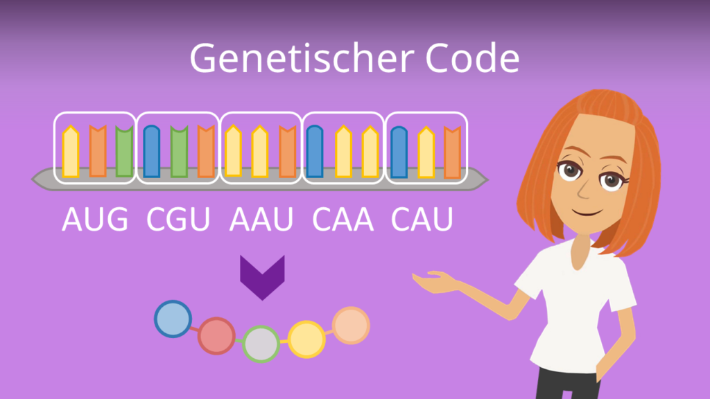 Zum Video: Genetischer Code