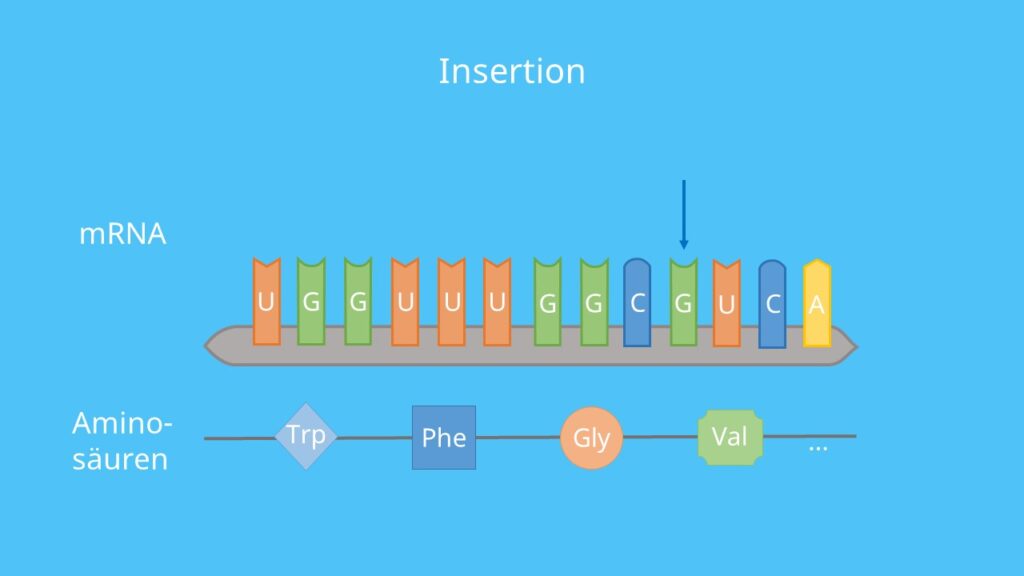 Insertion, Genmutation, Rastermutation, mRNA, DNA, Gen