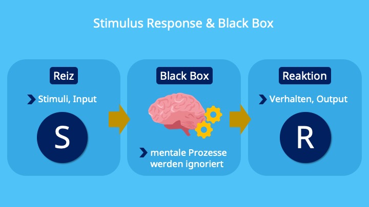 Stimulus Response Modell, Black Box Modell, Behaviorismus, Input, Output, Reiz, Stimulus, Stimuli, Reaktion, Verhalten, Introspektion