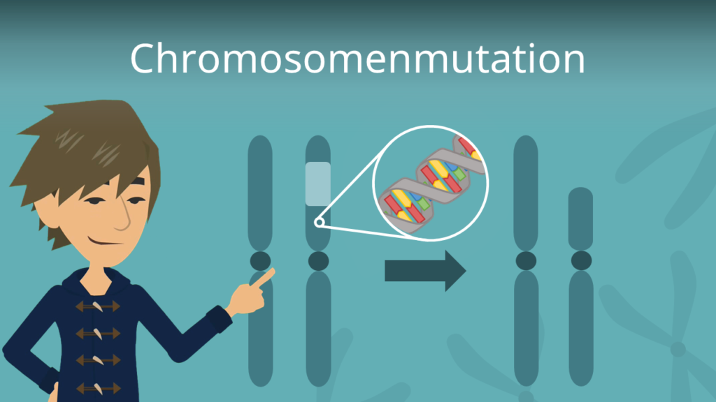 Zum Video: Chromosomenmutation