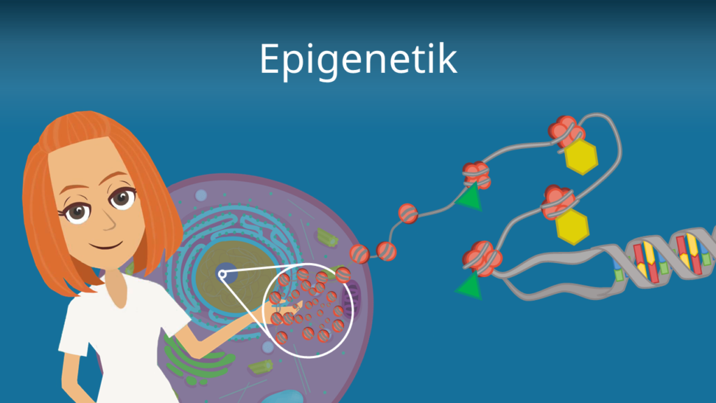 Zum Video: Epigenetik