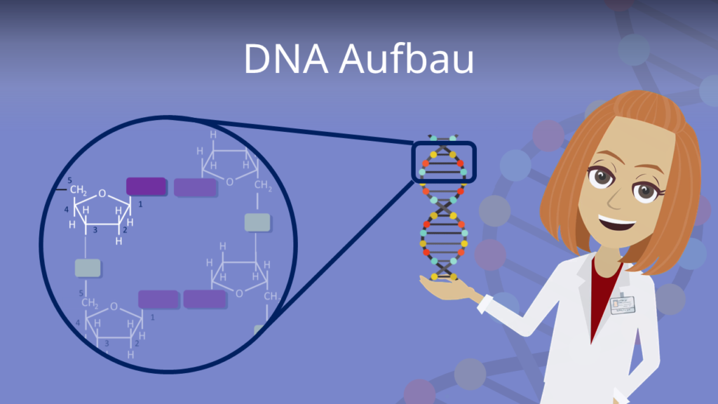 Zum Video: DNA Aufbau
