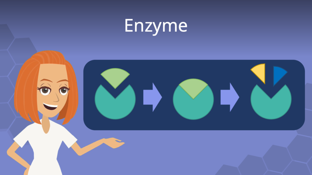 Zum Video: Enzyme