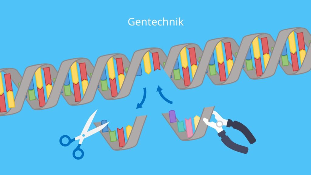 DNA, Genome Editing, Gentechnik
