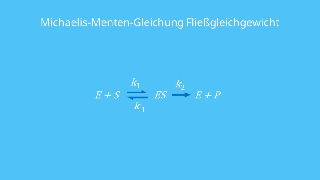 Michaelis-Menten-Gleichung Fließgleichgewicht, Michaelis-Menten-Gleichung, Enzym-Substrat-Komplex, Geschwindigkeitskonstante, Dissoziationskonstante