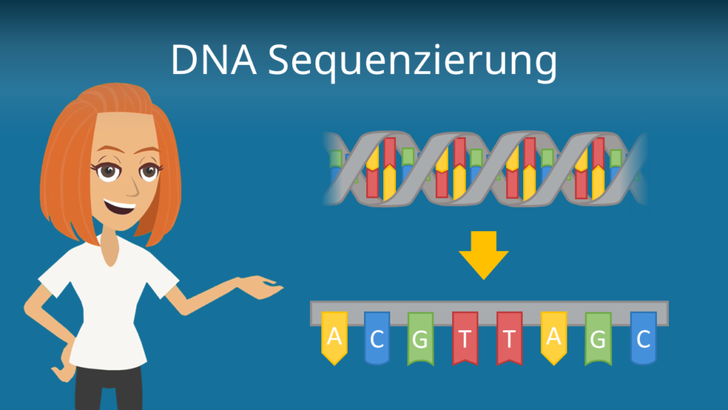 Zum Video: DNA Sequenzierung