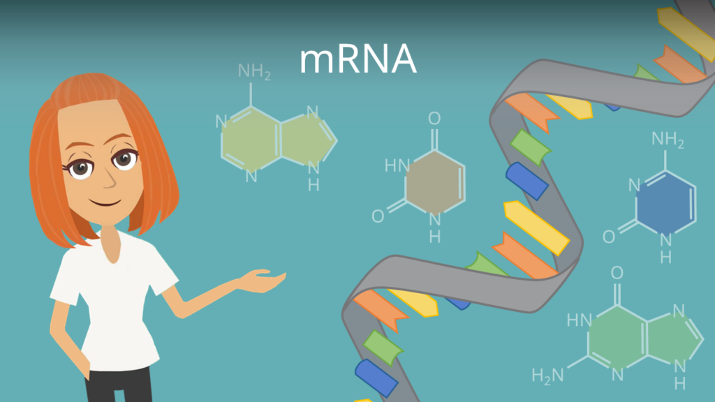 Zum Video: mRNA