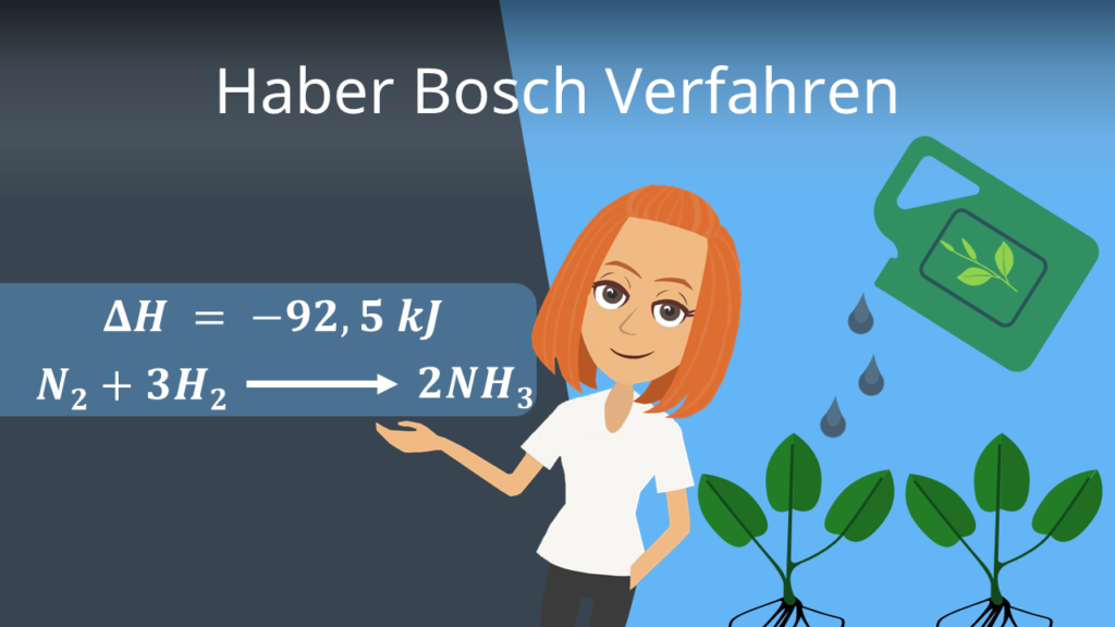 Zum Video: Haber Bosch Verfahren