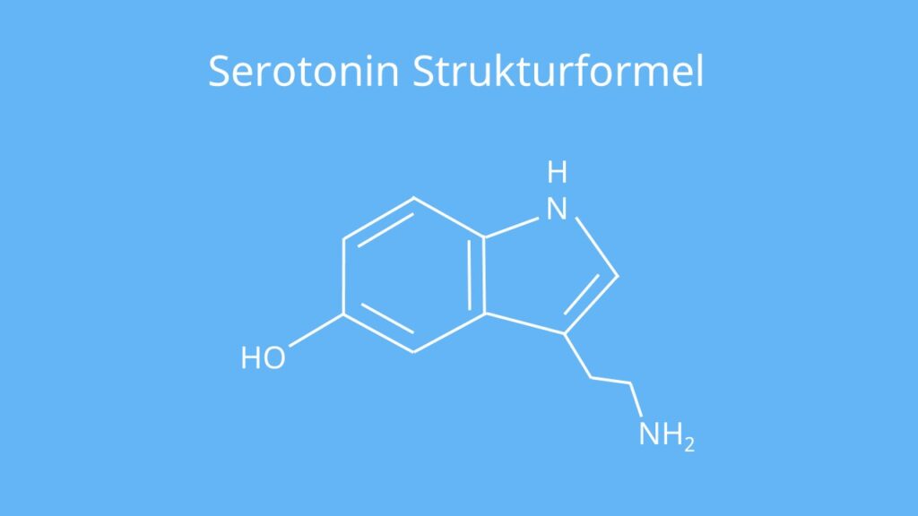 Dopamin Serotonin