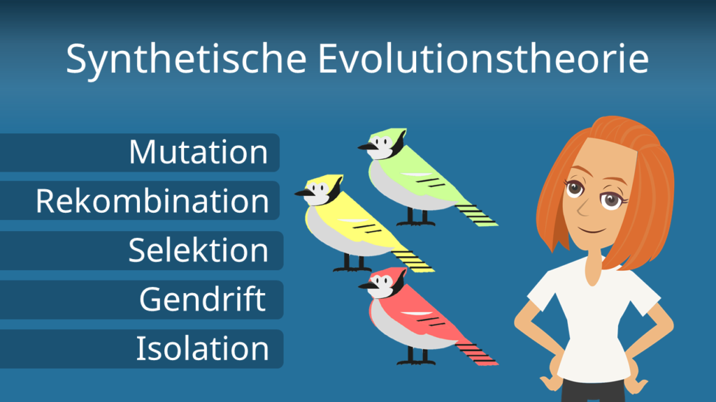 Zum Video: Synthetische Evolutionstheorie
