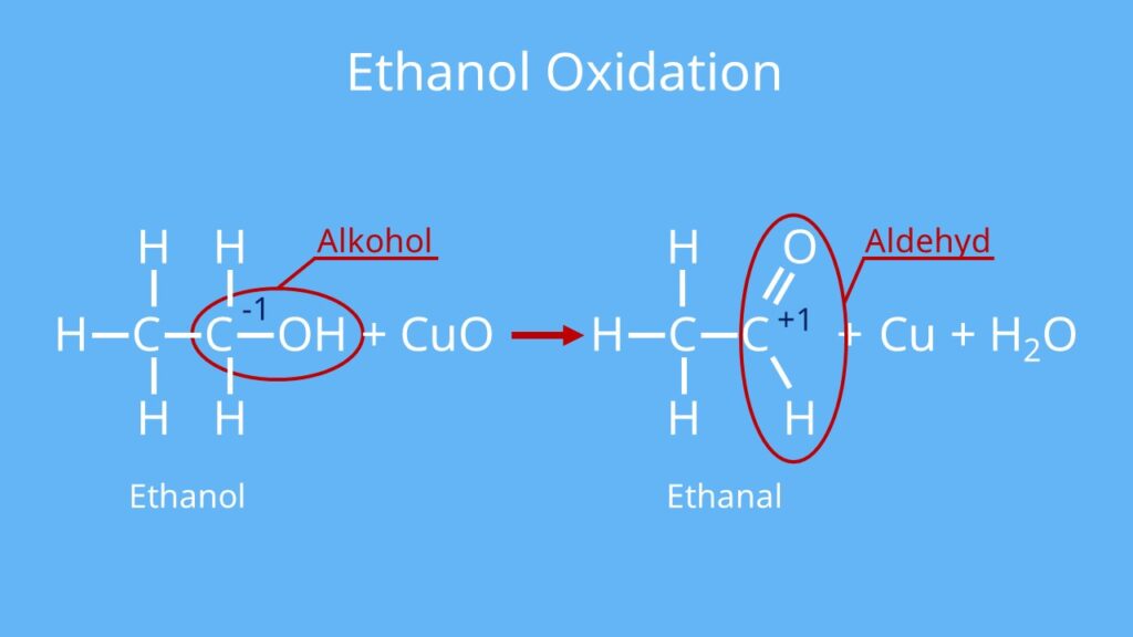 Oxidator - Die ausgezeichnetesten Oxidator unter die Lupe genommen