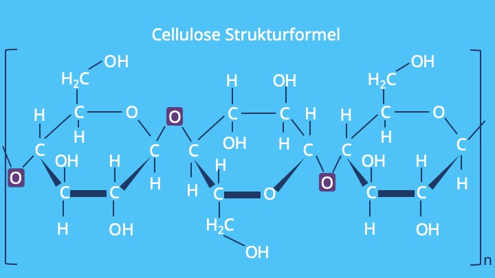 Cellulose Struktur, Zellulose, Strukturformel Cellulose, Was ist Cellulose, Cellulose Aufbau