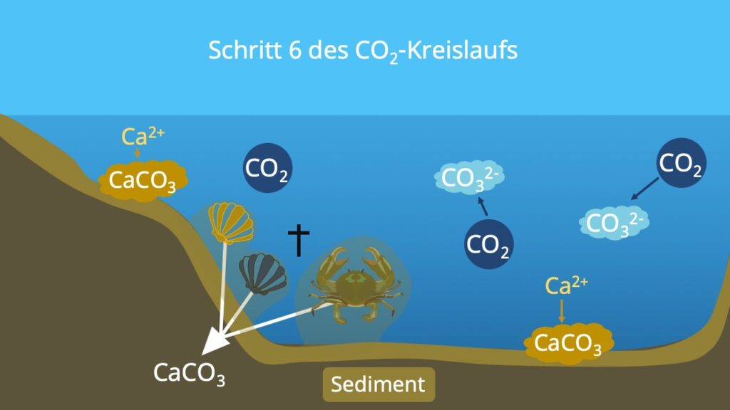 Stoffkreislauf, Kohlenstoffatom, Kohlenstoffzyklus, Kohlenstoffkreislauf, die Atmosphäre, Biosphäre, Kohlenstoffdioxidkreislauf, Lithosphäre, Kohlenstoffkreislauf Meer
