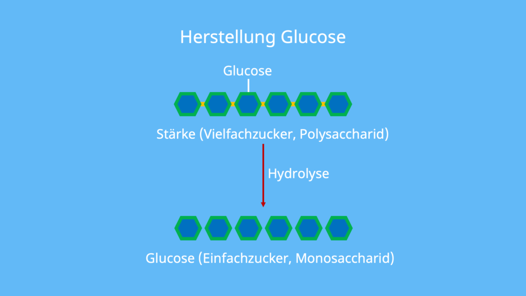 D Glucose, L Glucose, Zuckermolekül, Was ist Glucose, Stärke