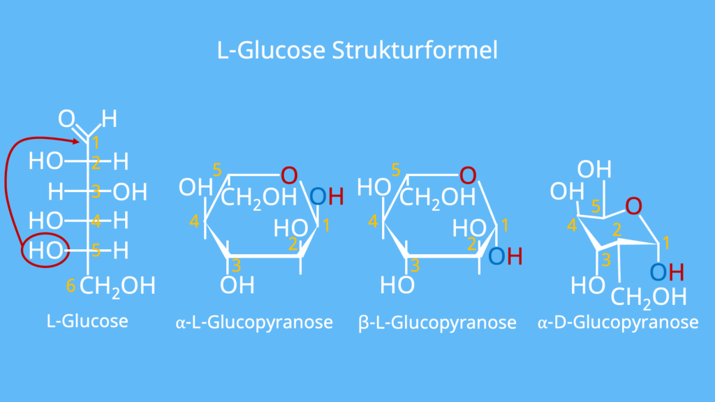 L Glucose, Glucose Strukturformel, Glucose Sesselform Zuckermolekül, Was ist Glucose, Glucose Aufbau, Traubenzucker Formel, Was ist Traubenzucker, Glucose Haworth