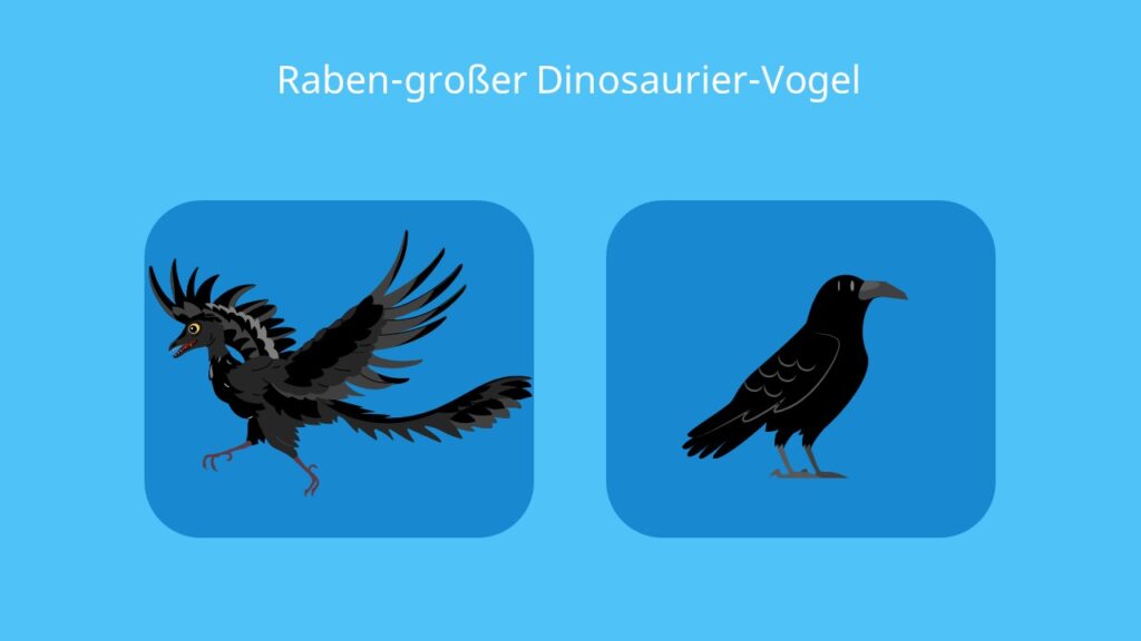 Archaeopteryx, dinosaurier, vogelmerkmale, reptilienmerkmale, rabe, bilder