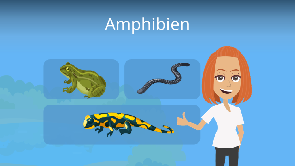 Zum Video: Amphibien