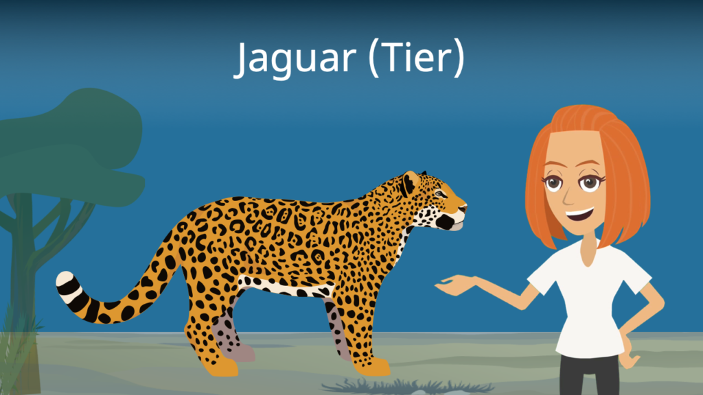 Zum Video: Jaguar