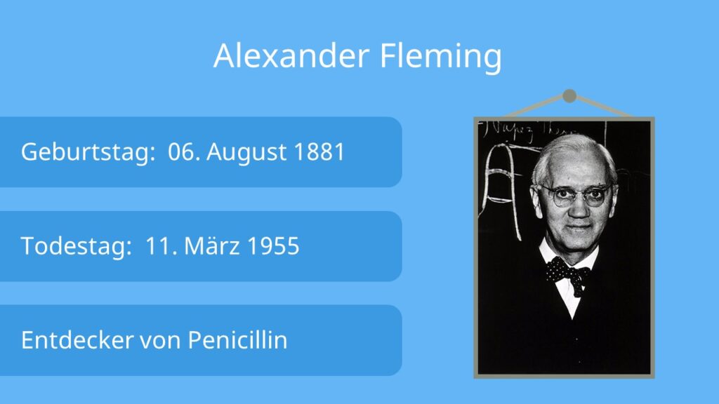 Alexander Fleming Penicillin, wann wurde penicillin erfunden, entdeckung des penicillin, fleming antibiotika, fleming nobelpreis,