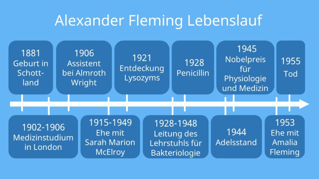 Alexander Fleming Penicillin, wann wurde penicillin erfunden, entdeckung des penicillin, fleming antibiotika, fleming nobelpreis, Alexander Fleming Steckbrief