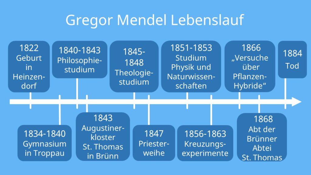 Gregor mendel Lebenslauf, Mönch, Vater der Genetik, Erbsen Experiment, mendel Erbsen, gregor mendel steckbrief