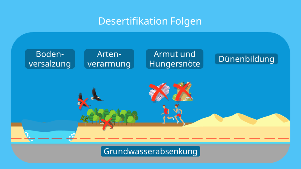 Desertifikation definition, desertifikation, ursachen, desertifikation sahelzone, was ist desertifikation, Wüstenbildung, unfruchtbare Fläche, Desertifikation folgen, Desertifikation schaubild