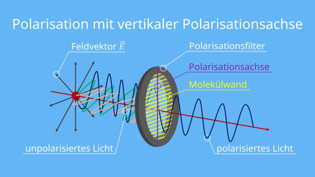 polarisation, polarisiertes Licht, polarisationsachse, unpolarisiertes licht, polarisationsfilter, polarisation physik, polarisation definition