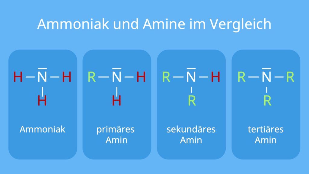 amin, amine, primäres amin, tertiäres amin, aminogruppe